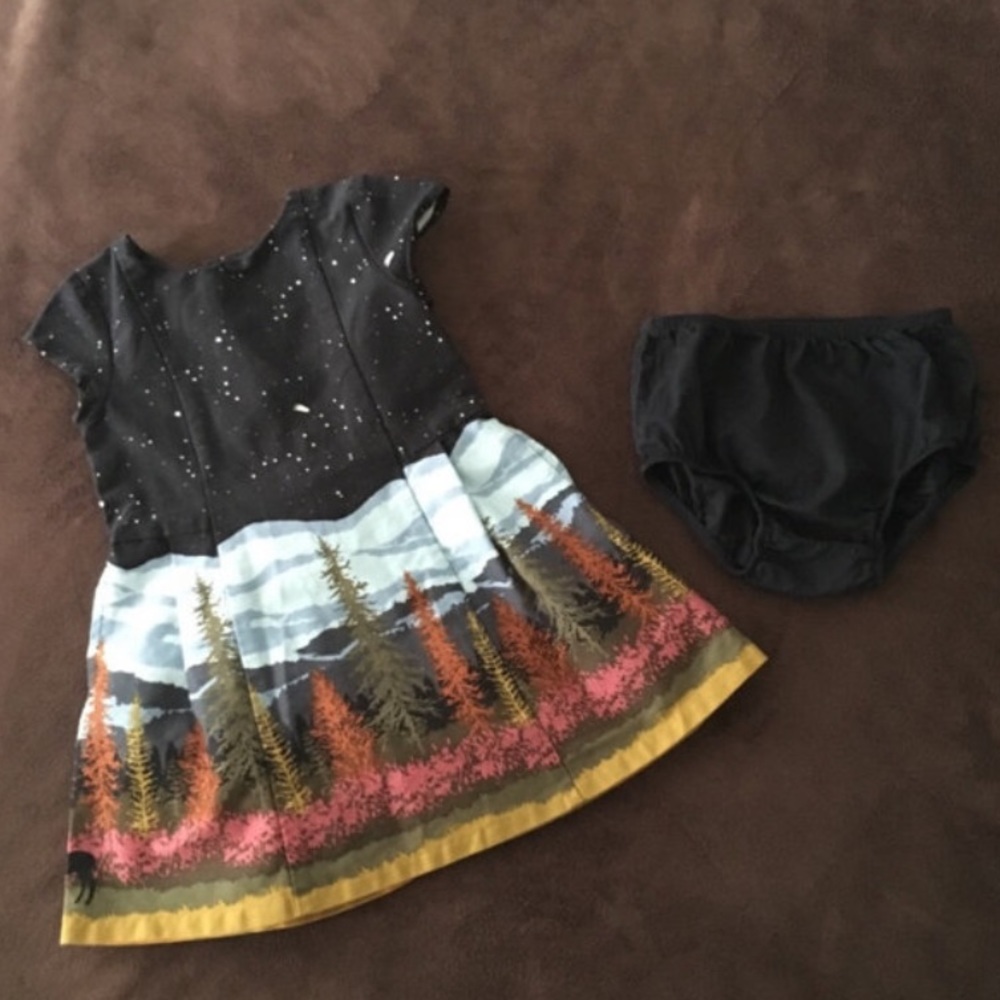 Fall dress 18m